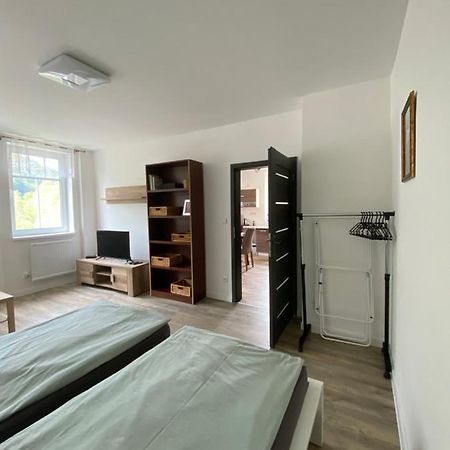 Apartmány U Viaduktu 46 Ústí nad Labem Exteriér fotografie